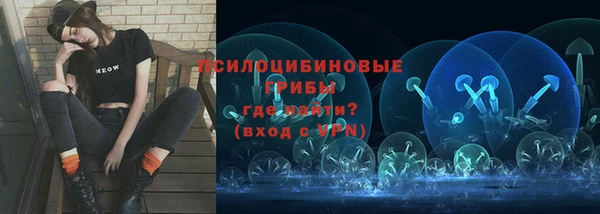 стаф Дмитровск